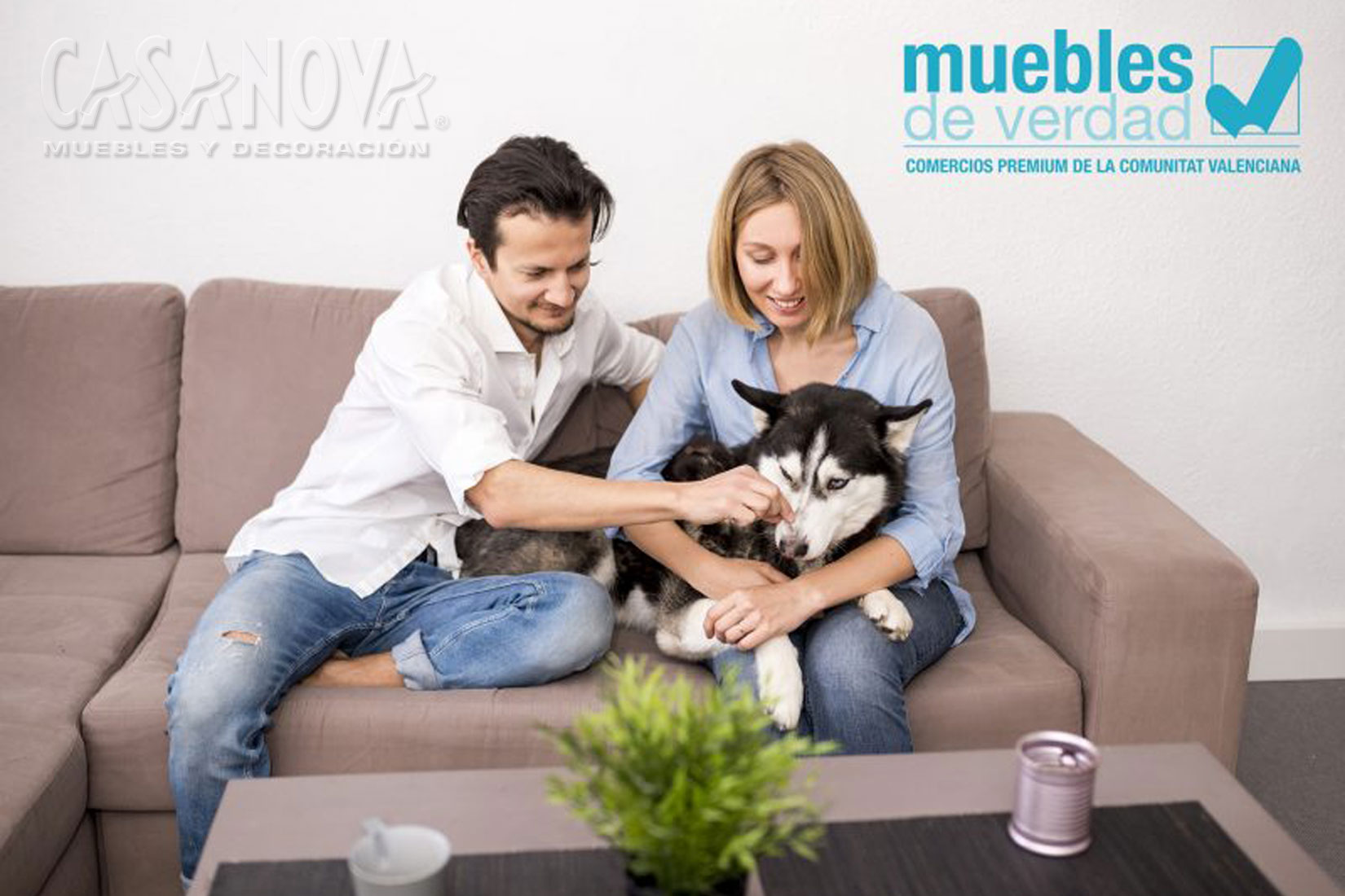 ¿Cómo elegir la mejor tapicería para el sofá si tienes mascota?